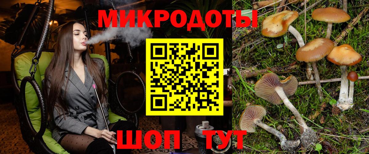Псилоцибиновые грибы Cubensis  Вход с VPN  Казань 